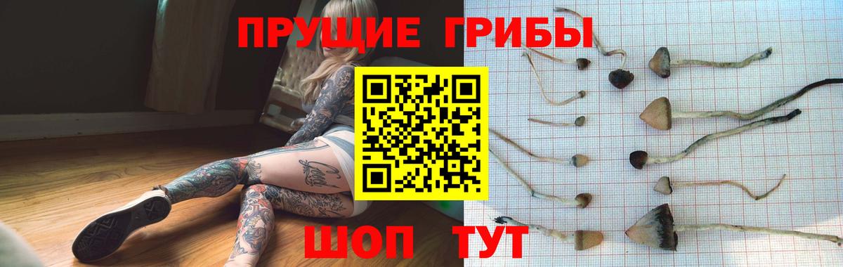 Псилоцибиновые грибы прущие грибы  закладка  Дербент  Псилоцибиновые грибы ЛСД  Вход с VPN 
